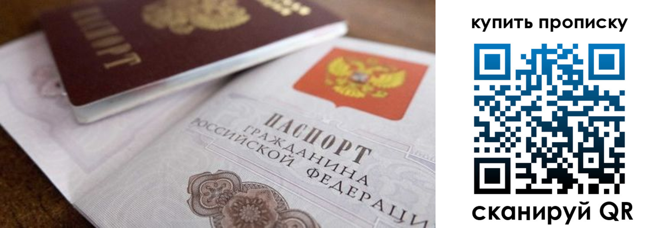 прописка гарантия в Королёве